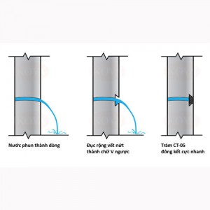 Đông cứng nhanh CT-05